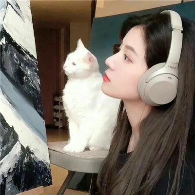 运动高飞狗